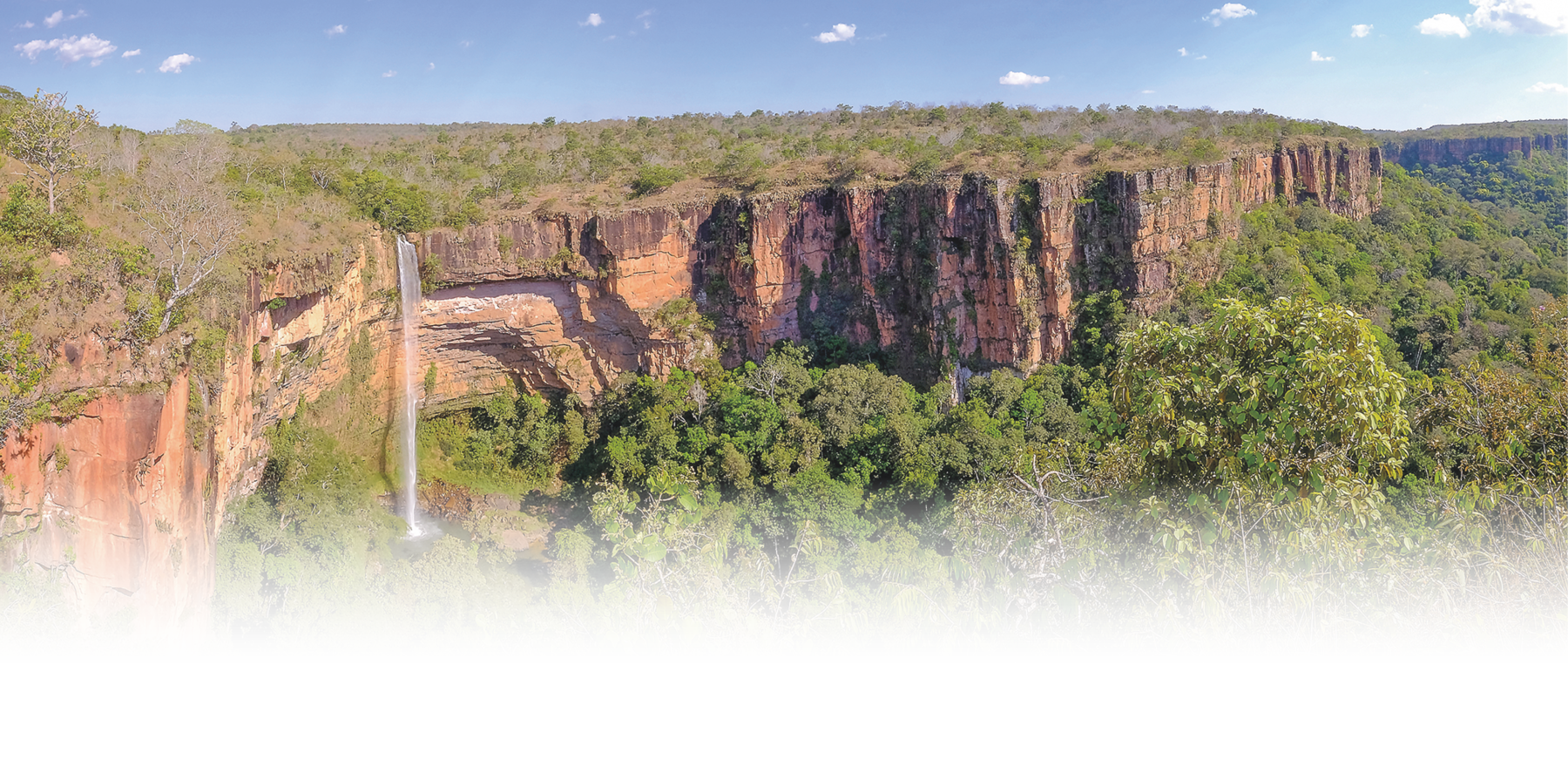 Fotografia. Paisagem mostrando um grande penhasco coberto por vegetação. Embaixo, floresta. No meio do penhasco há uma cachoeira.