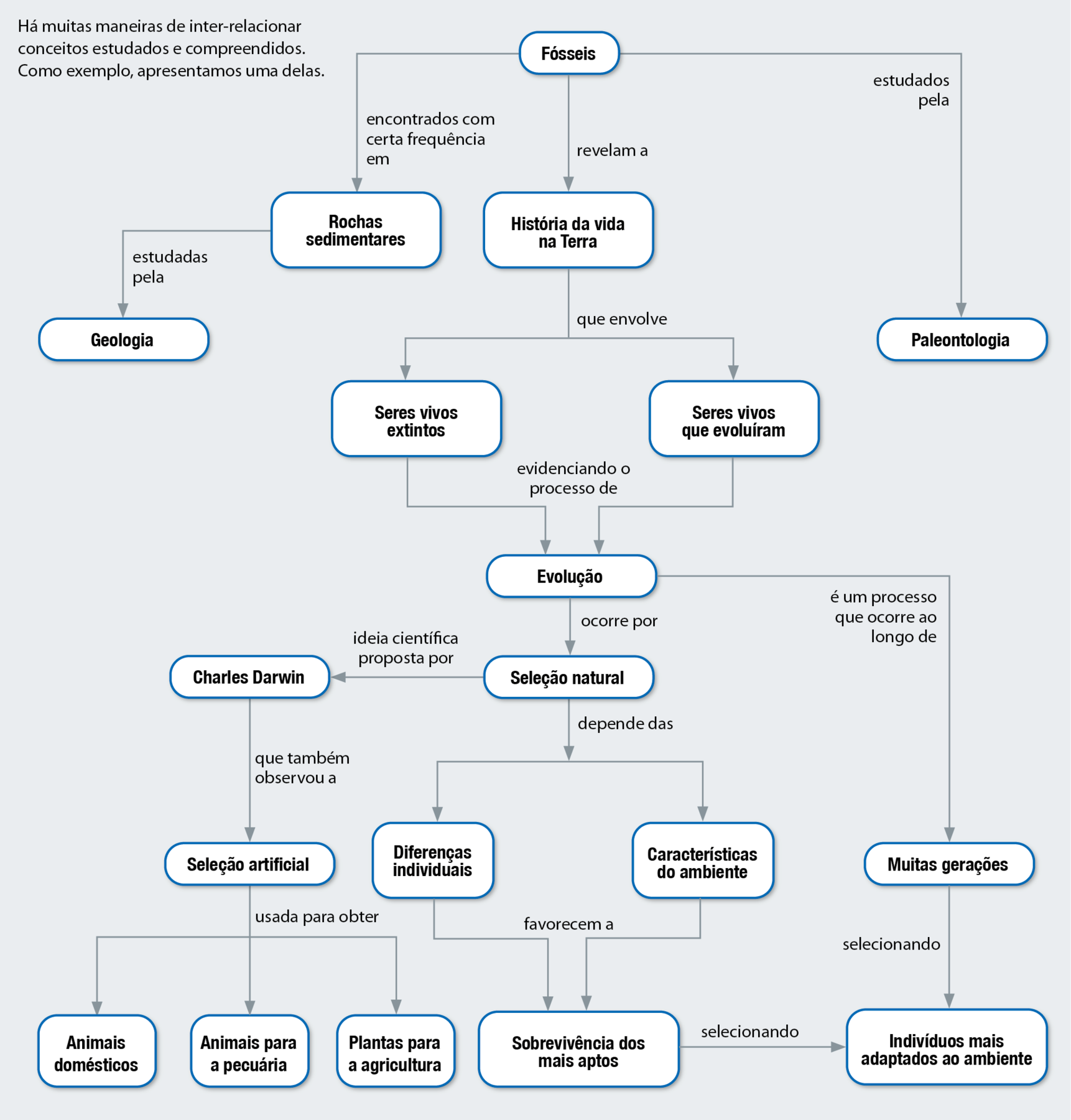 Fluxograma. Fósseis estudados pela Paleontologia. Fósseis encontrados com certa frequência em rochas sedimentares, estudadas pela geologia. Fósseis revelam a história da vida na Terra, que envolve seres vivos extintos e seres vivos que evoluíram, evidenciando o processo de Evolução. Evolução é um processo que ocorre ao longo de muitas gerações selecionando indivíduos mais adaptados ao ambiente. Evolução ocorre por seleção natural, ideia científica proposta por Charles Darwin, que também observou a seleção artificial usada para obter animais domésticos; animais para a pecuária; plantas para a agricultura. Seleção natural depende das diferenças individuais e características do ambiente, favorecem a sobrevivência dos mais aptos, selecionando indivíduos mais adaptados ao ambiente.