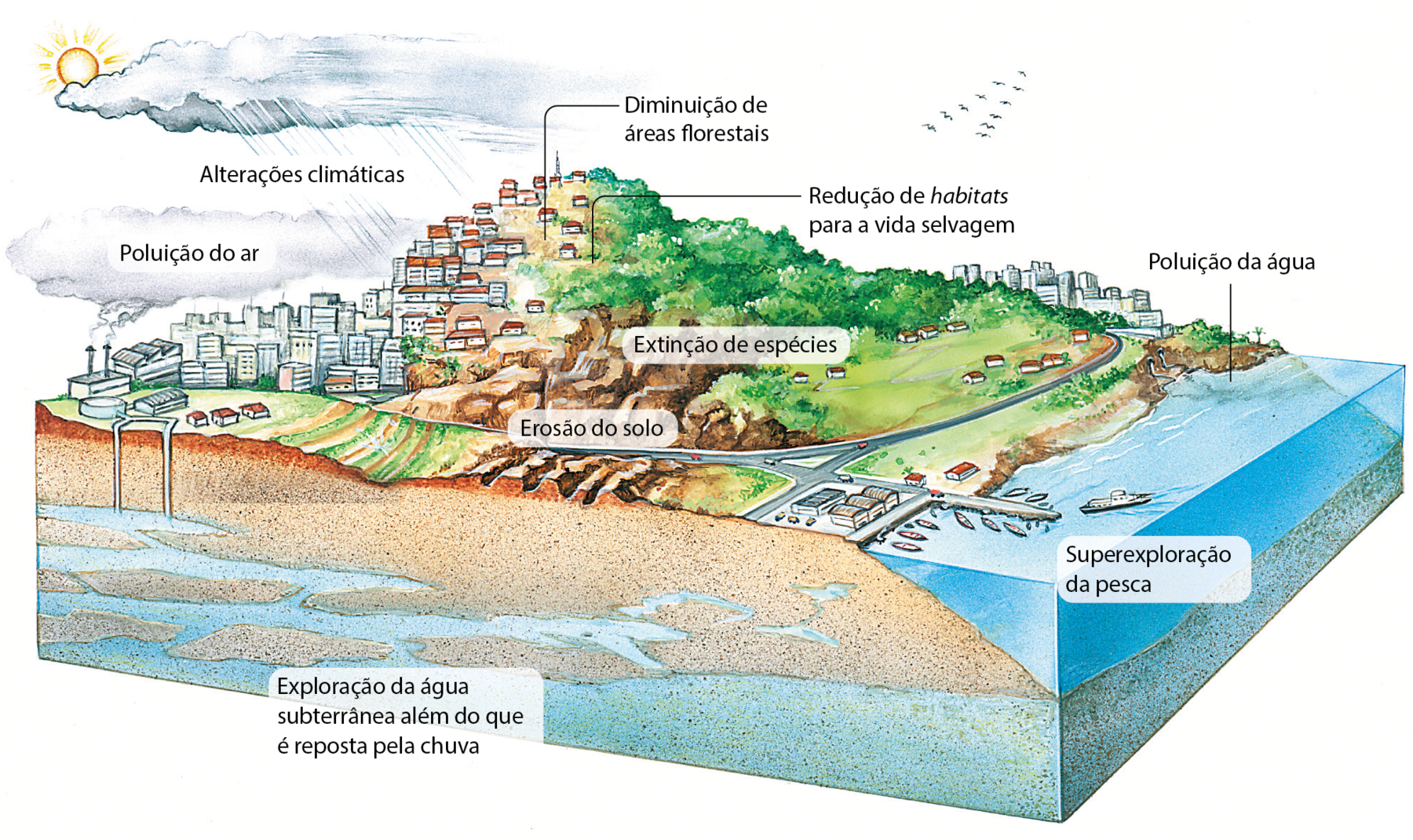 Esquema. Representação de parte de um município. Região com muitos prédios, casas e indústrias. Algumas chaminés lançam fumaça para o ar. Texto: Poluição do ar. Habitações construídas na encosta de um morro. Textos: Diminuição de áreas florestais. Redução de habitats para a vida selvagem. Extinção de espécies. Área com solo exposto, sem vegetação. Texto: Erosão do solo. Tubulação que chega até os lenções subterrâneos. Texto: Exploração da água subterrânea além do que é reposta pela chuva. Diversos barcos pesqueiros no mar. Texto: Superexploração da pesca. Tubulação lançando esgoto no mar. Texto: Poluição da água.