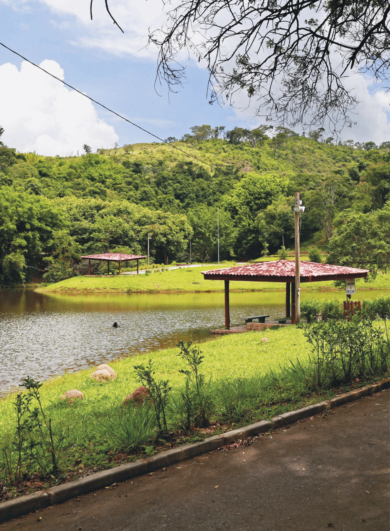 Fotografia. Parque com lago, quiosques, grama e vegetação densa ao fundo. No primeiro plano, rua de asfalto. Dentro de um dos quiosques há uma placa que informa: PROIBIDO NADAR E PESCAR.