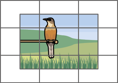 Ilustração. Retângulo dividido em nove partes iguais. Um pássaro laranja sobre um galho com vegetação ao redor ocupa duas partes inteiras e oito partes pela metade.