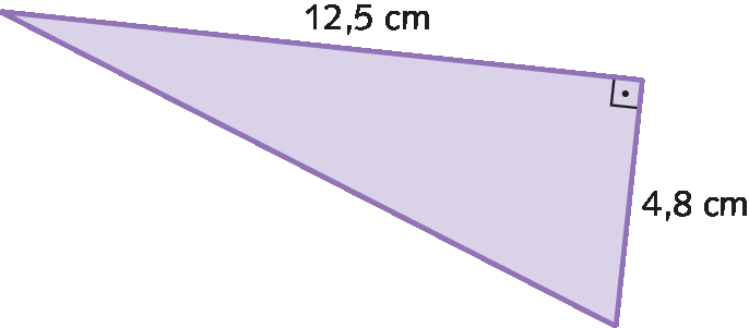 Triângulo retângulo cujos lados que formam o ângulo reto medem 12,5 centímetros e 4,8 centímetros.