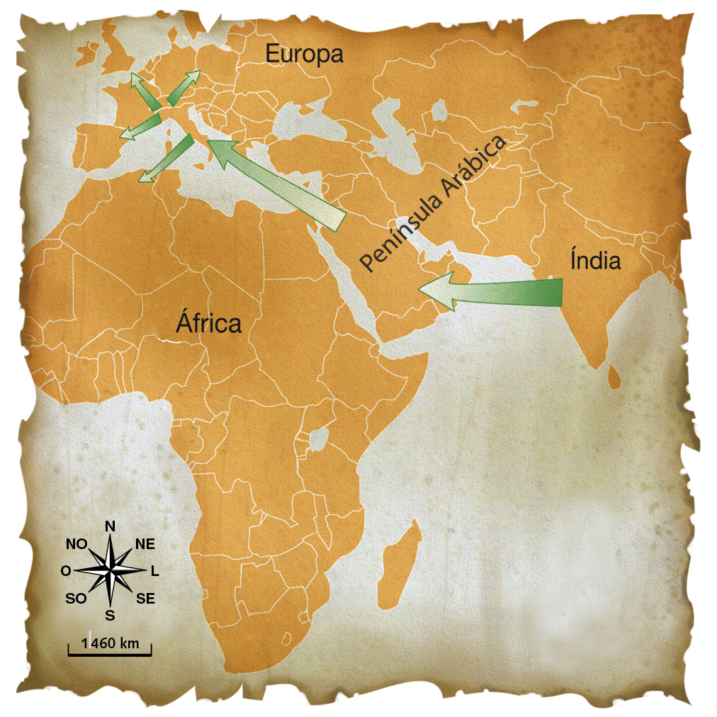 Mapa. ORIGEM E DIFUSÃO DO SISTEMA DE NUMERAÇÃO INDO-ARÁBICO. Uma seta verde sai da Índia, passa pelo norte da África e vai até regiões da Europa. No canto inferior esquerdo, rosa dos ventos e escala mil 460 quilômetros.