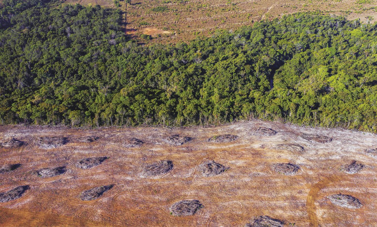 Fotografia. Vista do alto de região desmatada com troncos cortados. Ao fundo, vegetação.