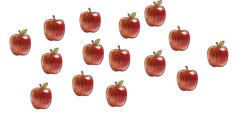 Ilustração. 15 maçãs divididas em cinco grupos de 3 maçãs cada, com linhas tracejadas ao redor de cada grupo. As maçãs estão dispostas de forma desordenada e os grupos de três maçãs não forma colunas. Os  dois grupos mais à esquerda têm fundo tracejado, enquanto os três restantes têm fundo branco.