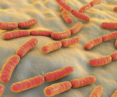 Ilustração em 3D. Bactérias, em formato cilíndrico laranja.
