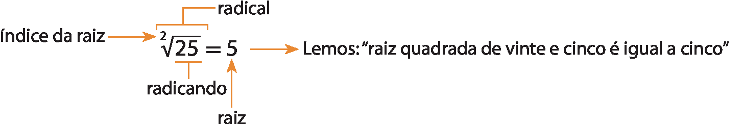 Esquema. Raiz quadrada de 25 é igual a 5. Há um fio na parte superior no símbolo da raiz, indicando que é o radical. Há um fio na parte inferior no número 25 dentro da raiz,  indicando que é o radicando. Há uma seta à esquerda no número 2 acima do símbolo de raiz, indicando que é o índice da raiz. Há uma seta na parte inferior no número 5, indicando que é o raiz. Há uma seta a esquerda informando: Lemos: raiz quadrada de vinte e cinco é igual a cinco.