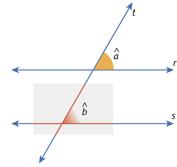 Ilustração. Retas r e s paralelas, na horizontal, cortadas pela reta t. Em destaque, acima da reta r e à direita da reta t, o ângulo a, formado pelas retas t e r. Acima da reta s, à direita da reta t, o ângulo b, formado pelas retas t e s.
Papel vegetal na horizontal sobre ângulo b.