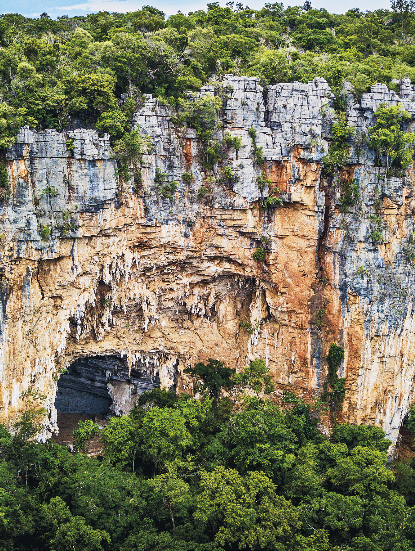 Fotografia. Imagem de paisagem de um paredão rochoso coberto, na parte de cima por vegetação densa. A parte superior do paredão tem rochas cinza azuladas. No meio e na base a cor é marrom claro. Na base, à esquerda, temos a entrada de uma caverna emoldurada pelas rochas marrom e a presença de estalactites. Na pequena parte visível da caverna, observamos as rochas azuladas.
