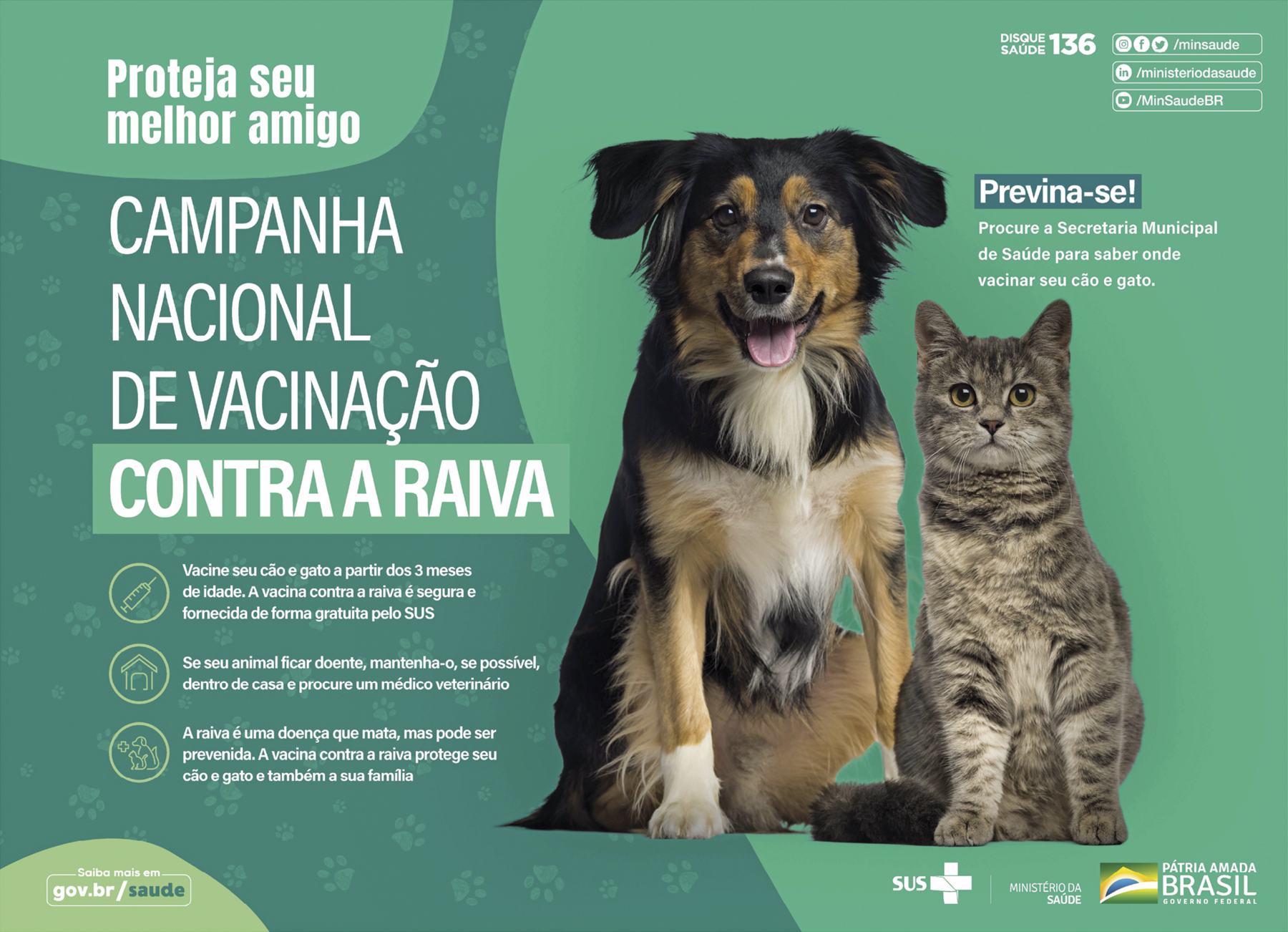 Fotografia. Cartaz verde. Proteja seu amigo. CAMPANHA NACIONAL DE VACINAÇÃO COMTRA A RAIVA. Abaixo, as informações: Vacine seu cão e gato a partir dos 3 meses de idade. A vacina contra a raiva é segura e fornecida de forma gratuita pelo SUS. Se seu animal ficar doente, mantenha-o, se possível, dentro de casa e procure um médico veterinário. A raiva é uma doença que mata, mas pode ser prevenida. A vacina contra a raiva protege seu cão e gato e também sua família. À direita, DISQUE SAÚDE 136. Previna-se! Procure a Secretaria Municipal de Saúde para saber onde vacinar seu cão e gato. Abaixo, fotografia de um cachorro de pelos pretos em marrons e um gato cinza. Eles estão sentados um ao lado do outro. Na parte inferior, logotipo do SUS e Ministério da Saúde.