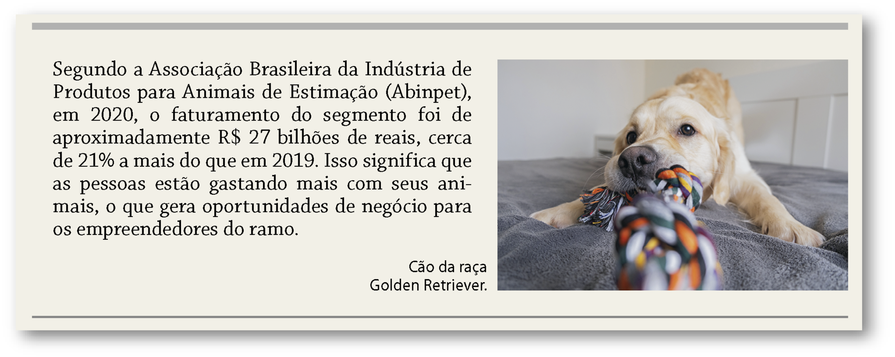 Ilustração. Reprodução de notícia publicada em mídia impressa; À esquerda o texto: Indústria de Produtos para Animais de Estimação (Abinpet), em 2020, o faturamento do segmento foi de aproximadamente R$ 27 bilhões de reais, cerca de 21% a mais do que em 2019. Isso significa que as pessoas estão gastando mais com seus animais, o que gera oportunidades de negócio para os empreendedores do ramo. À direita, fotografia de um cão da raça Golden Retriever de pelos na cor marrom, deitado em uma cama com um brinquedo na boca. Abaixo a legenda: Cão da raça Golden Retriever.