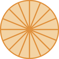 Ilustração. círculo laranja dividido em 16 setores circulares iguais.