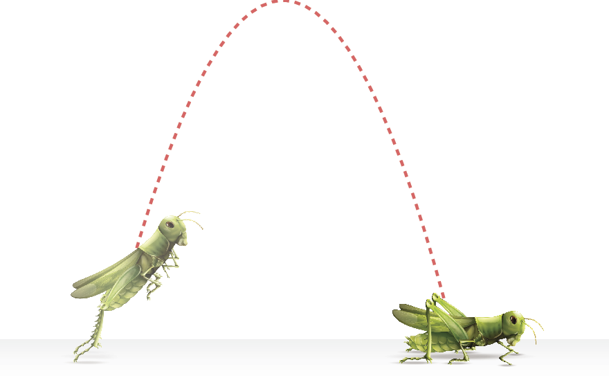 Ilustração. Gafanhoto verde num fundo branco salta da esquerda para a direita, o trajeto do salto permanece destacado com um formato curvo para baixo, indicando as regiões por onde o gafanhoto passou.