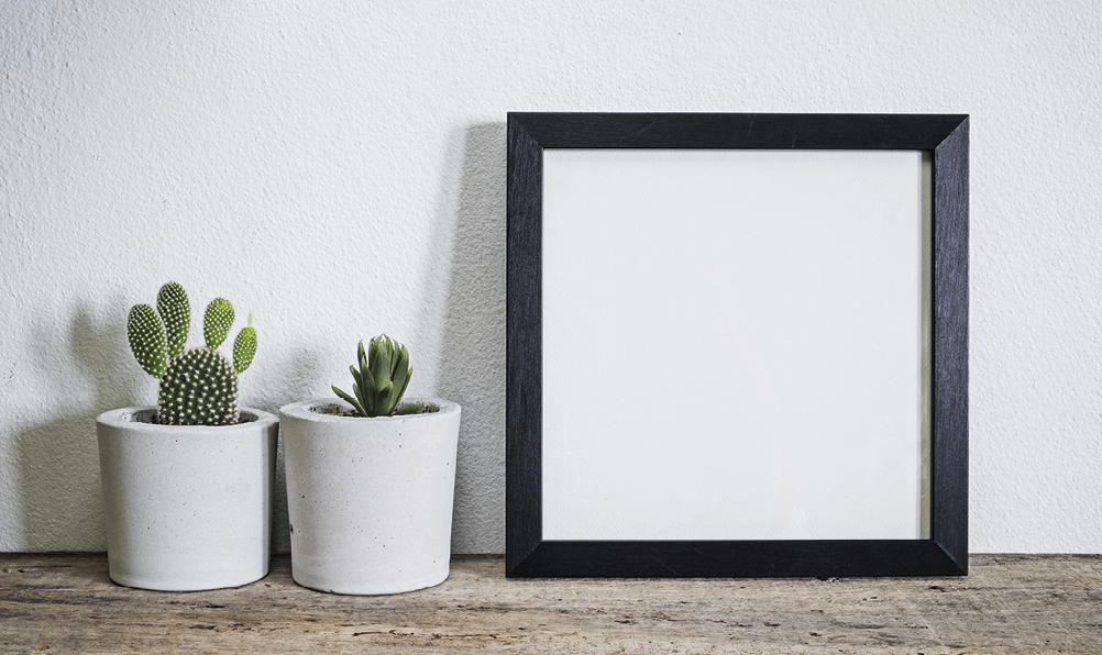Fotografia. Dois vasos cilíndricos com plantas e um quadro com tela branca.