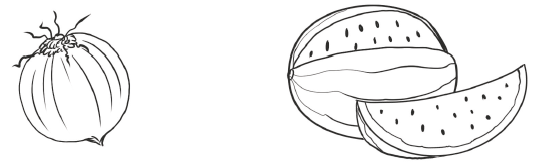 IMAGEM: desenhos de uma cebola de de uma melancia. FIM DA IMAGEM.