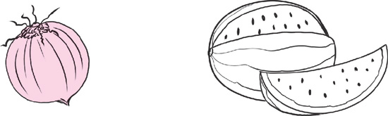 IMAGEM: desenhos de uma cebola e de uma melancia. professor, está pintada a cebola. FIM DA IMAGEM.