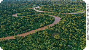 IMAGEM: fotografia aérea de uma floresta densa cortada por um rio. FIM DA IMAGEM.