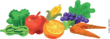 IMAGEM: hortaliças, frutas e vegetais: um maço de brócolis, uma abobrinha, uma maçã, uma laranja fatiada, uma espiga de milho, uvas, duas cenouras e uma folha de couve. FIM DA IMAGEM.