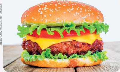 IMAGEM: um hambúrguer com queijo, alface e tomate. FIM DA IMAGEM.