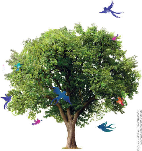 IMAGEM: uma árvore com a copa cheia de folhagens e oito pássaros ao redor dela. FIM DA IMAGEM.