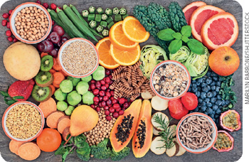 IMAGEM: frutas, vegetais, hortaliças, sementes e grãos, como: mamão, quíuí, morango, laranja, grão-de-bico, mirtilos, hortelã, vagens, quiabos, entre outros. FIM DA IMAGEM.