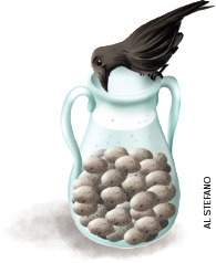 IMAGEM: um corvo coloca o bico dentro de uma jarra transparente para tomar água. no fundo da jarra, há muitas pedras redondas. FIM DA IMAGEM.