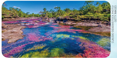 IMAGEM: um rio de águas cristalinas, com pedras e vegetação aquática coloridas no fundo. FIM DA IMAGEM.