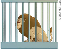 IMAGEM: um leão preso na jaula. o animal tem uma expressão triste. FIM DA IMAGEM.