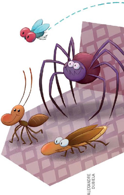 IMAGEM: uma formiga, uma barata, uma mosca e uma aranha. FIM DA IMAGEM.
