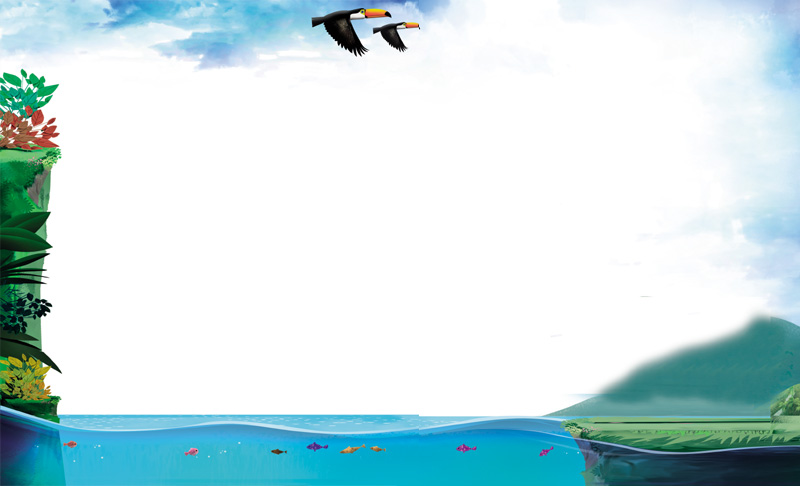 IMAGEM: início da unidade nove. tucanos voam sobre um rio com vários peixes coloridos. FIM DA IMAGEM.