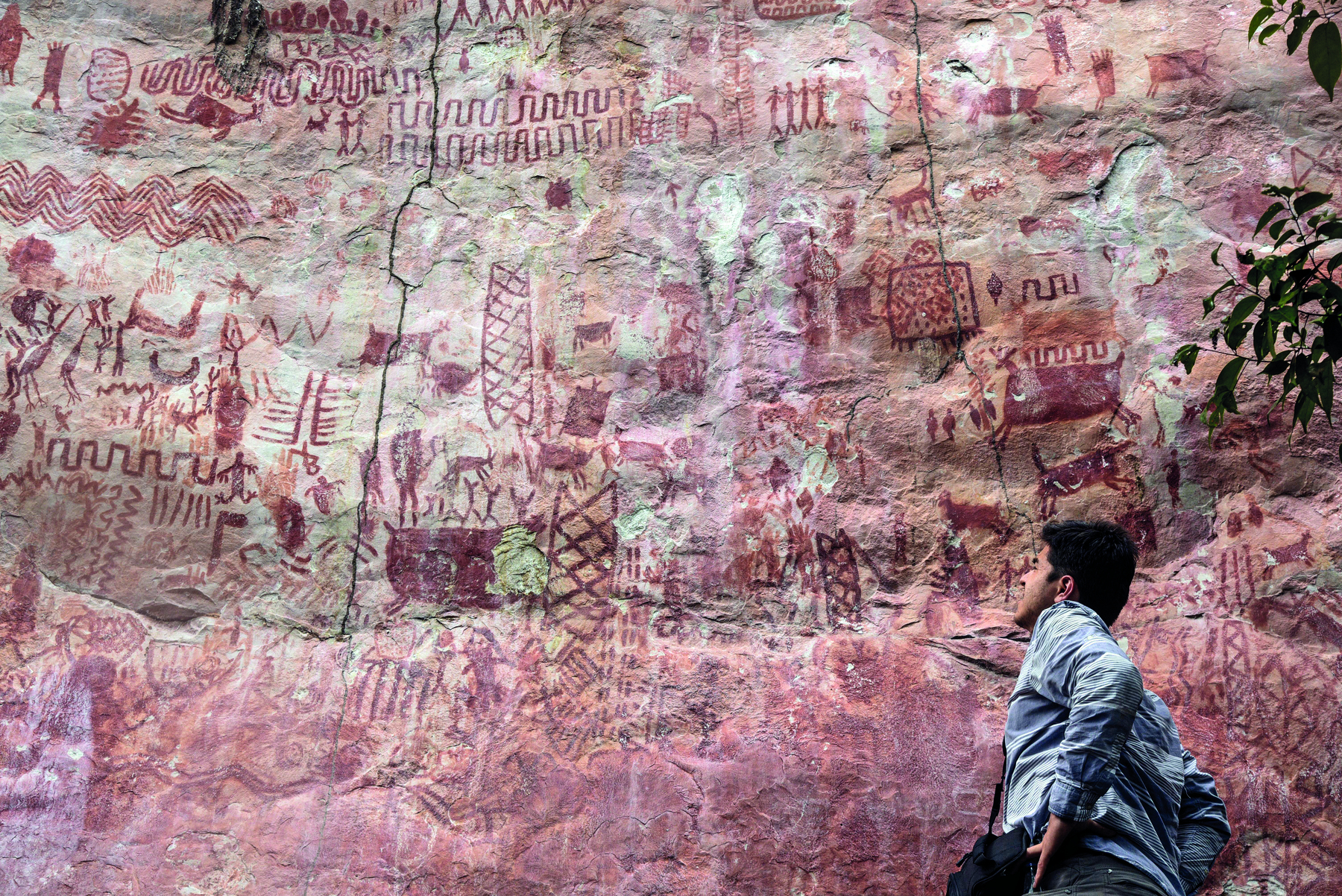 Fotografia. Um homem em pé, com cabelos escuros, curtos e lisos, vestindo uma camisa cinza, com o olhar voltado para uma grande parede de rocha contendo diversos registros rupestres representando animais, pessoas e símbolos.