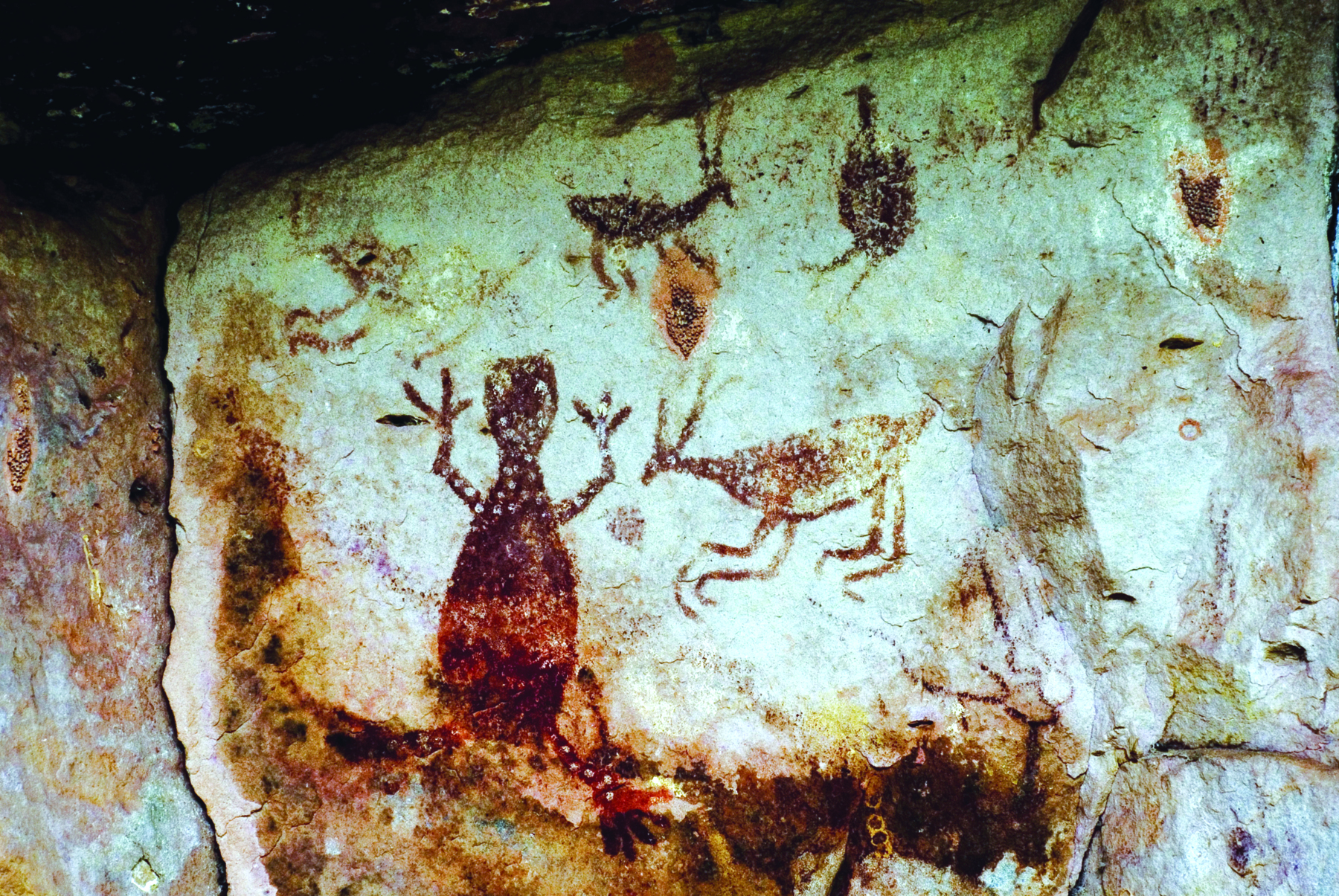 Fotografia. Parede rochosa com pinturas rupestres representando animais diversos.