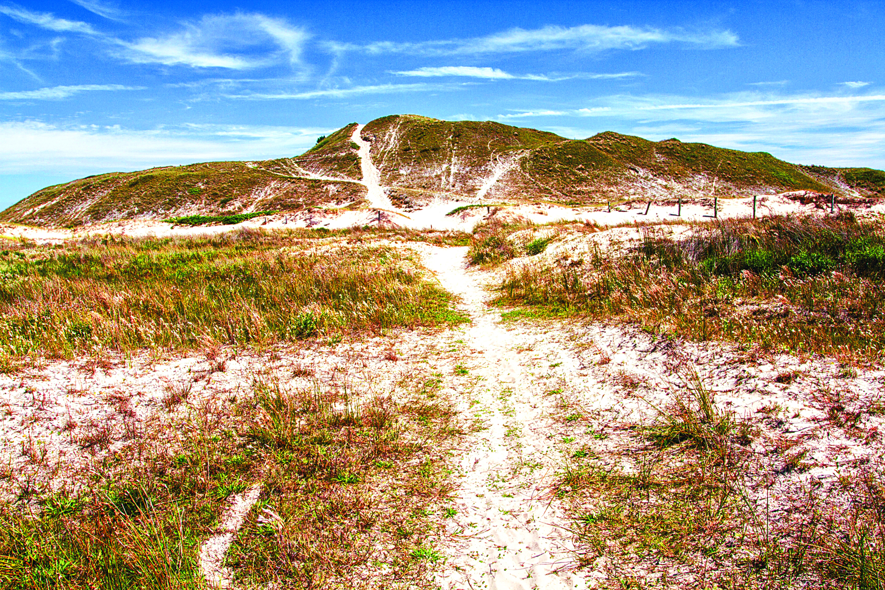 Fotografia. Vista de terreno arenoso, com gramíneas baixas e, ao fundo, um morro alto e largo, também coberto por areia e grama.