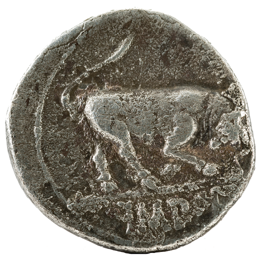 Moeda. Verso de uma moeda metálica redonda, com a imagem de um animal de quatro patas e um longo rabo traseiro.
