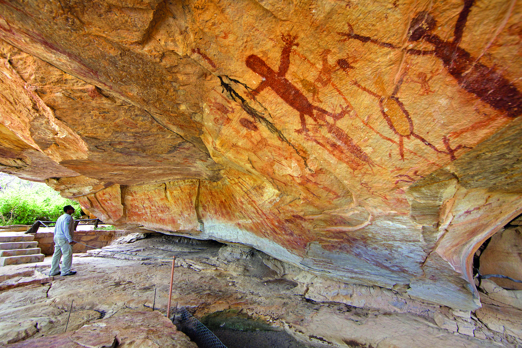 Fotografia. Um homem observa as paredes de uma caverna contendo pinturas representando seres humanos e animais.