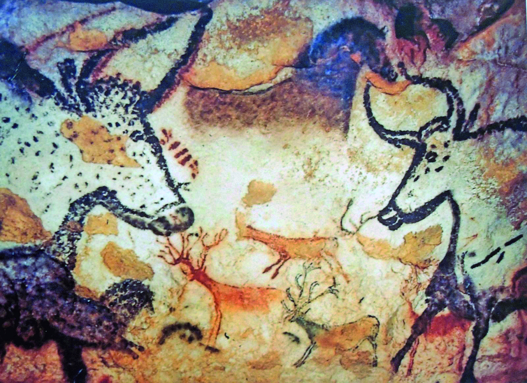 Fotografia. Parede de uma caverna, contendo pinturas rupestres representando animais como bisões, cavalos e cervos.