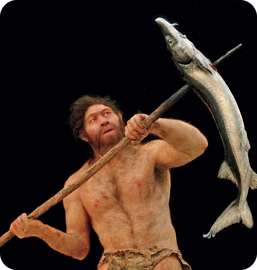 Fotografia. Destaque para a reconstituição de um Homo erectus do sexo masculino, com o corpo coberto de pelos, cabelos volumosos, lábios grossos e barba comprida, segurando uma lança de madeira atravessando o corpo de um peixe.