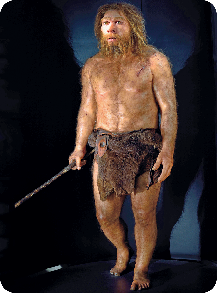 Fotografia. Destaque para a reconstituição de um Homo neanderthalensis do sexo masculino, em pé, segurando uma lança com uma das mãos. Tem os cabelos e barba longos e lisos, lábios finos e veste uma pele de animal marrom ao redor da cintura.