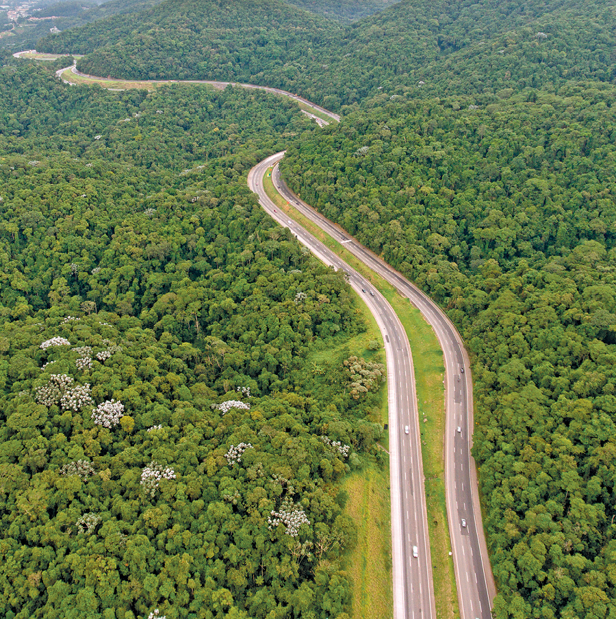 Fotografia. Vista aérea de uma área com densa vegetação cortada por uma rodovia com duas vias de sentido.