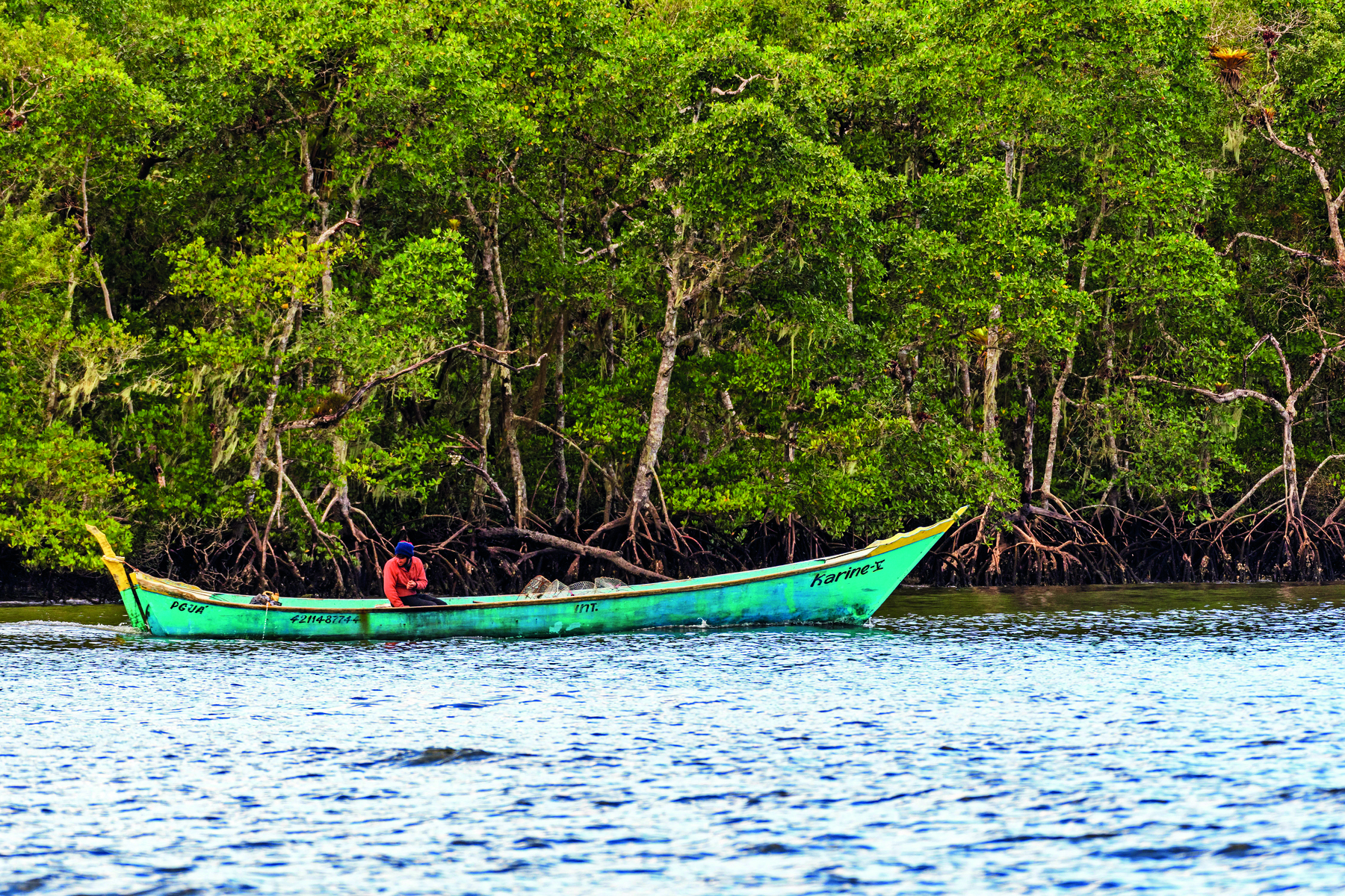 Fotografia. Sobre um rio cercado por uma densa vegetação há uma canoa de casco azul, contendo um homem sentado em seu interior.