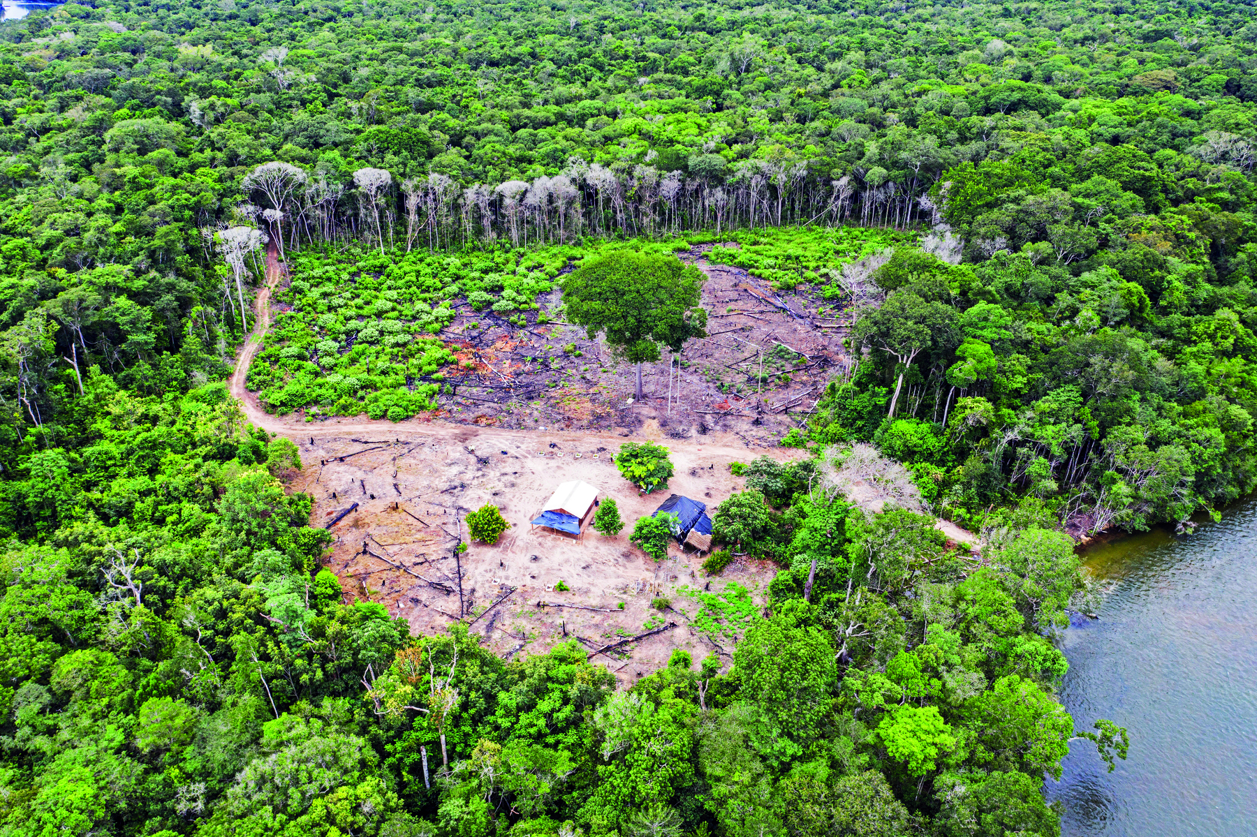 Fotografia. Vista aérea de uma área desmatada cercada por uma floresta de vegetação densa.