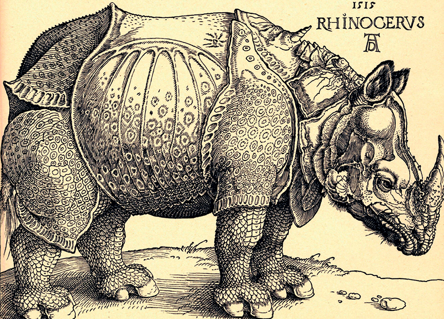 Gravura. Sobre um fundo amarelado, a figura de um rinoceronte, na cor preta. É um animal de grande porte, com a pele escamosa, com a aparência de uma carapaça. Ele tem um chifre na parte frontal da cabeça, duas orelhas pequenas e pontudas no alto do crânio, olhos pequenos nas laterais do crânio e quatro patas curtas. No alto da gravura, à direita, o texto: 1515. Rhinocerus. Logo abaixo, as iniciais A, e dentro do A, D.