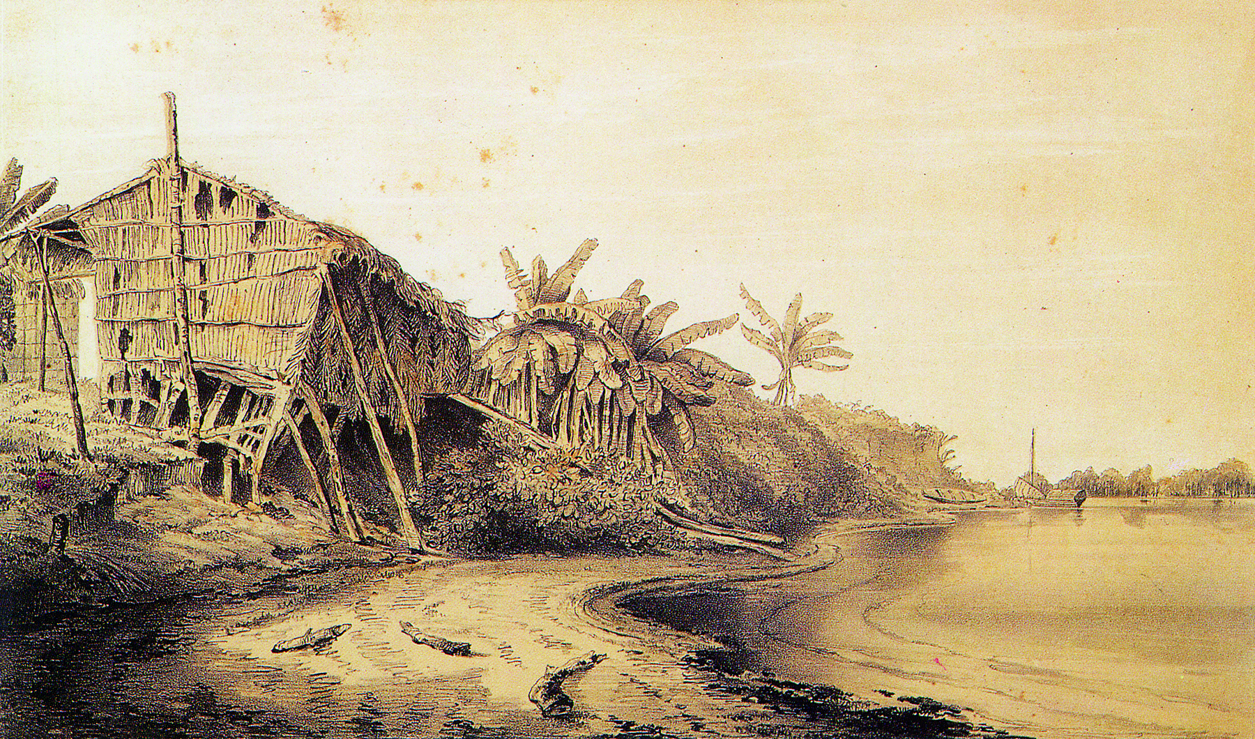 Litogravura. Representação de uma cabana rudimentar sobre um terreno às margens de um rio. No segundo plano, continuação do terreno às margens do rio, com palmeiras e arbustos.