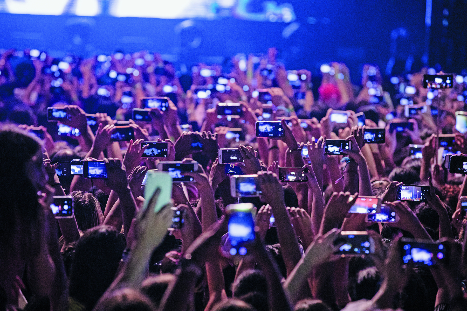 Fotografia. Vista de multidão. Sob uma luz azulada, as pessoas, vistas de costas, estão com as mãos para cima segurando celulares com as câmeras ligadas.