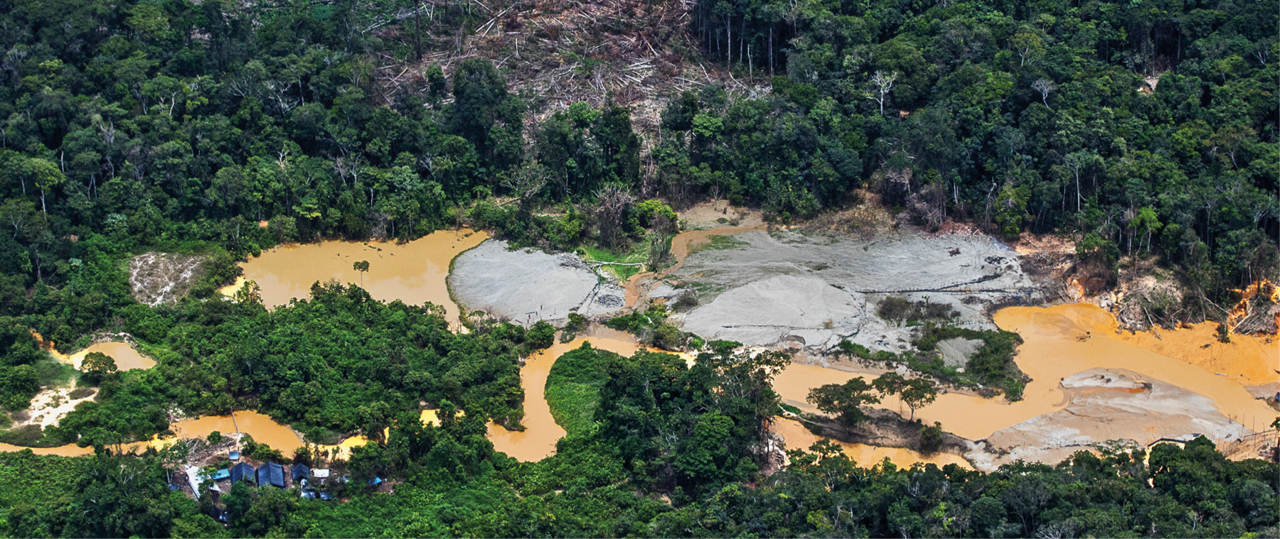 Fotografia. Vista aérea. Densa área de floresta, com uma grande clareira no centro. Na clareira, há uma área inundada, lamacenta, e partes expostas de solo rochoso. Acima, uma parte de floresta derrubada, com centenas de troncos de árvores caídos, sobrepostos. No canto inferior esquerdo, telhados azuis de um acampamento.