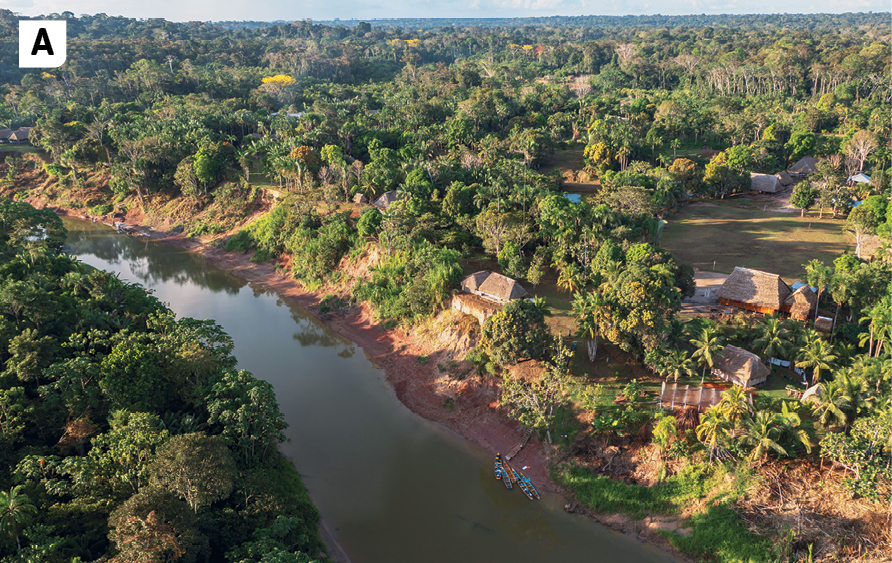 Fotografia A. Vista de uma área com um rio muita vegetação  e algumas moradias com cobertura de palha e uma faixa de rio entre a vegetação.