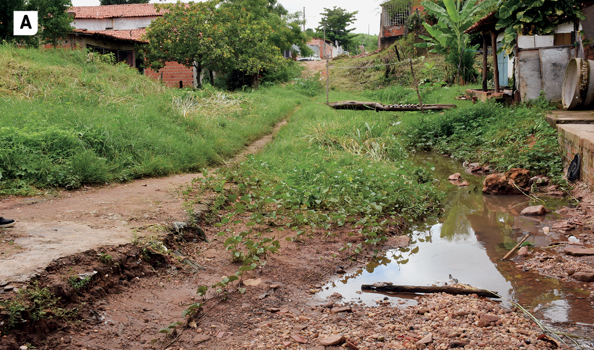 Fotografia A. Vista de uma rua de terra, com muita vegetação baixa, pôças de água e entulhos. Nas laterais, algumas construções.