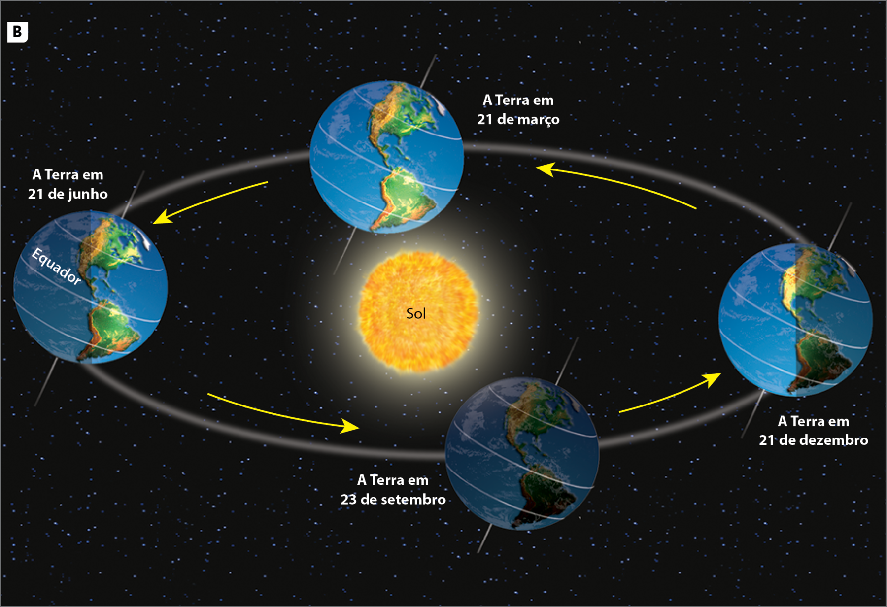 Ilustração B. A Terra e o movimento de translação em torno do Sol. Esquema ilustrado representando a órbita da Terra em torno do Sol em quatro datas diferentes. No centro, o Sol. Ao redor do Sol, uma linha em formato de elipse. Um globo terrestre traçado com paralelos e a linha do Equador, aparece em quatro posições diferentes da linha em elipse, representando quatro datas do ano. 
Globo terrestre posicionado ao lado do Sol, à esquerda, representando a data de 21 de junho. 
Globo terrestre posicionado embaixo do Sol, um pouco mais à direita, representando a data de 23 de setembro. 
Globo terrestre posicionado ao lado do Sol, à direita, representando a data de 21 de dezembro. 
Globo terrestre posicionado acima do Sol, um pouco mais à esquerda, representando a data de 21 de março. Setas amarelas indicam a passagem de uma posição a outra.