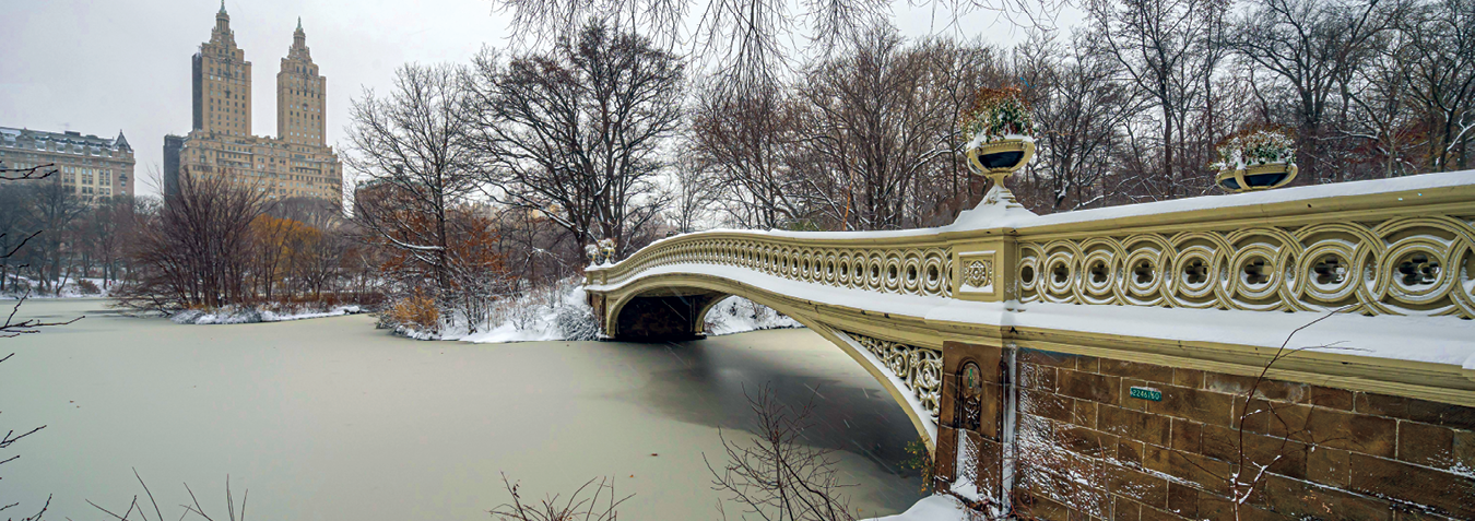 Fotografias. Sequência de fotografias de um mesmo local  (um parque) nas quatro estações do ano.  Na quarta foto é inverno: ponte com neve sobre rio, pouca vegetação, com árvores sem folhagens e galhos mais secos, com neve sobre partes da superfície do parque.