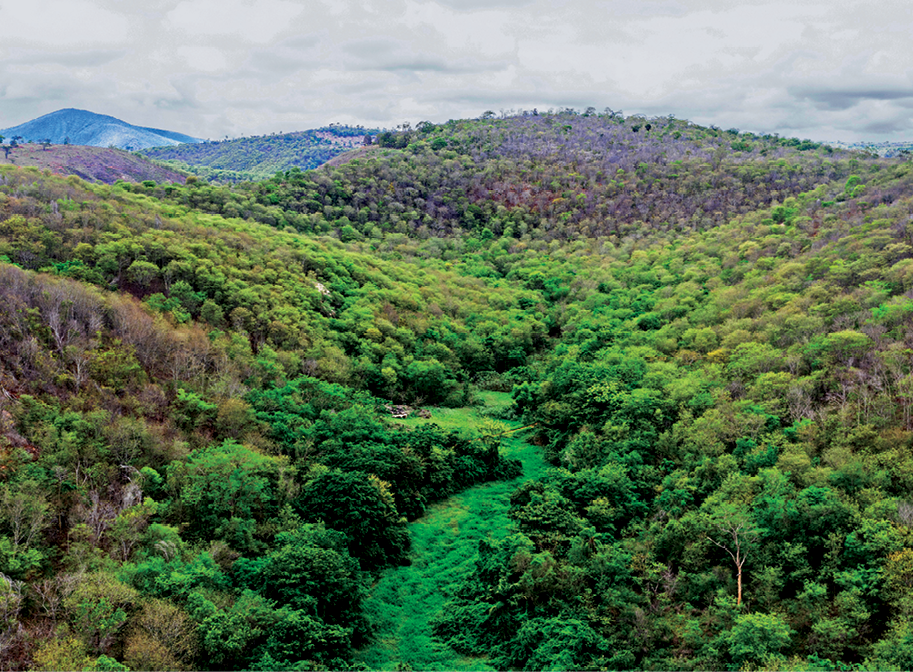 Fotografia. Vista de um lugar aberto com vasta vegetação verde entre montanhas e vales.